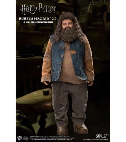Harry Potter RUBEUS HAGRID 2.0 Star Ace Cover