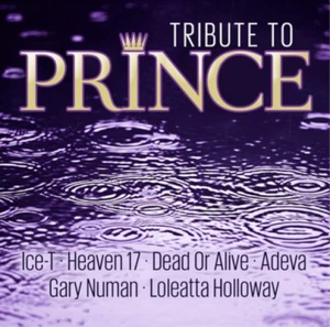 Various Artists Tribute to Prince (CD) Album - Bild 1 von 1
