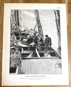 Fishery Crew Dressing Heilbutt Schoner Deck 1887 Original Antik Druck - Bild 1 von 13