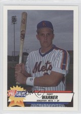 1993 Fleer ProCards Minor League Randy Warner #3810
