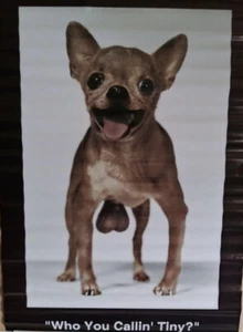 Chihuahua 🐕 Who You Callin’ Tiny? Poster bCreative Poster #3835 Era 2000-2009 - Picture 1 of 5