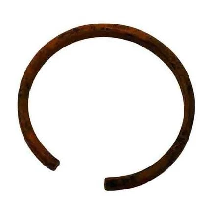 Acdelco 24205145 Ring Frt Whl Dr (Slp 1) - Image 1 of 4