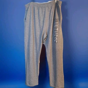 Panthers Jogginghose Herren 2XL Vintage 1990s Jerzees Nublend Heather Gray USA   - Bild 1 von 5