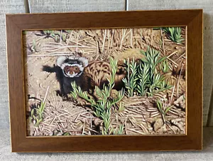 Pintura al óleo original realista panda rojo firmado Rakesh Prajapati - Imagen 1 de 8