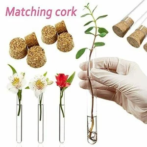 10-100pcs Glass Test Tube Round Bottom with Cork Stopper Borosilicate Chemistry - Picture 1 of 15