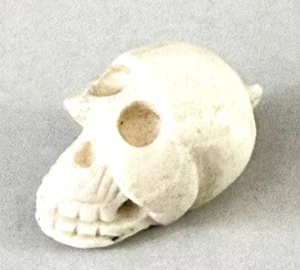 Miniature Vintage Skull Hand Carved Charm/Pendant - Picture 1 of 8