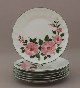 Piatto da torta 19,5 cm Winterling Kirchenlamitz rosa selvatica piatto da dessert - Foto 1 di 4