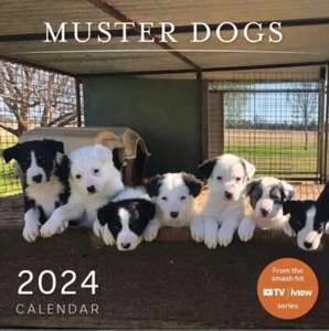 2024 ABC Muster Dogs Month To View MTV Square 610 x 305mm Wall Planner Calendar - Foto 1 di 3