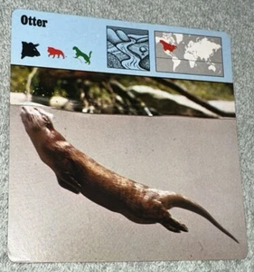 Vintage 1976 Animal Card - Otter - Printed In Japan - Picture 1 of 4