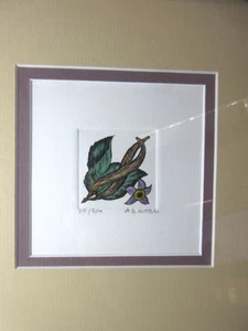 Dan Mitra Hand Colored Etching Botanical Vanilla Planifolia Bean Matted Framed - Picture 1 of 5