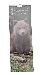 Baby Tiere langer Wandkalender 2025 - Tier - Monatsansicht - Bild 1 von 9