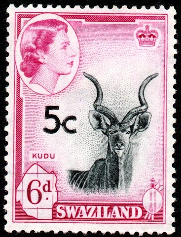 1961 Swaziland Sg 72a 5c on 6d black and magenta - Overprint High - Mounted Mint Cover