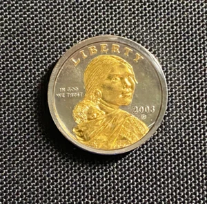 2003 D Sacagawea Platinum & Gold Highlighted $1 Coin  - Picture 1 of 5