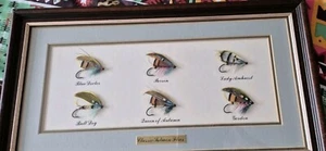 6 LARGE GUT EYED 2 1/4" BEAUTIFUL SALMON FLIES THESE ARE SET IN A LOVELY FRAME - Picture 1 of 9