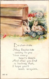 Easter White Rabbit Red Eyes Hutch Flowers Violets Daisy c1920s postcard NQ2 - Bild 1 von 2