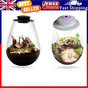 Desktop Miniature Plant Light 6500K Plant Grow Light for Indoor Plant Growth . - Picture 1 of 13