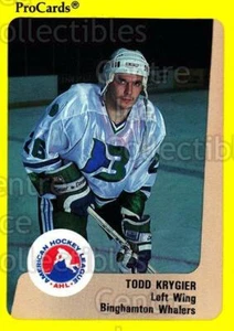 1989-90 ProCards AHL #294 Todd Krygier - Picture 1 of 1