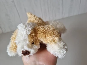 M&S Small Puppy Dog Soft Toy Beige Cream Brown Coller Plush Comforter - Picture 1 of 13