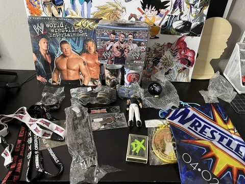 WWE Memorabilia Lot Cover