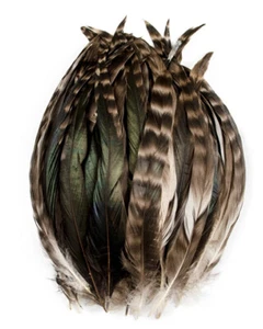 10pcs 24-30cm Grizzly Bronze Rooster Feathers DIY Craft Millinery Vase Decor - Picture 1 of 8