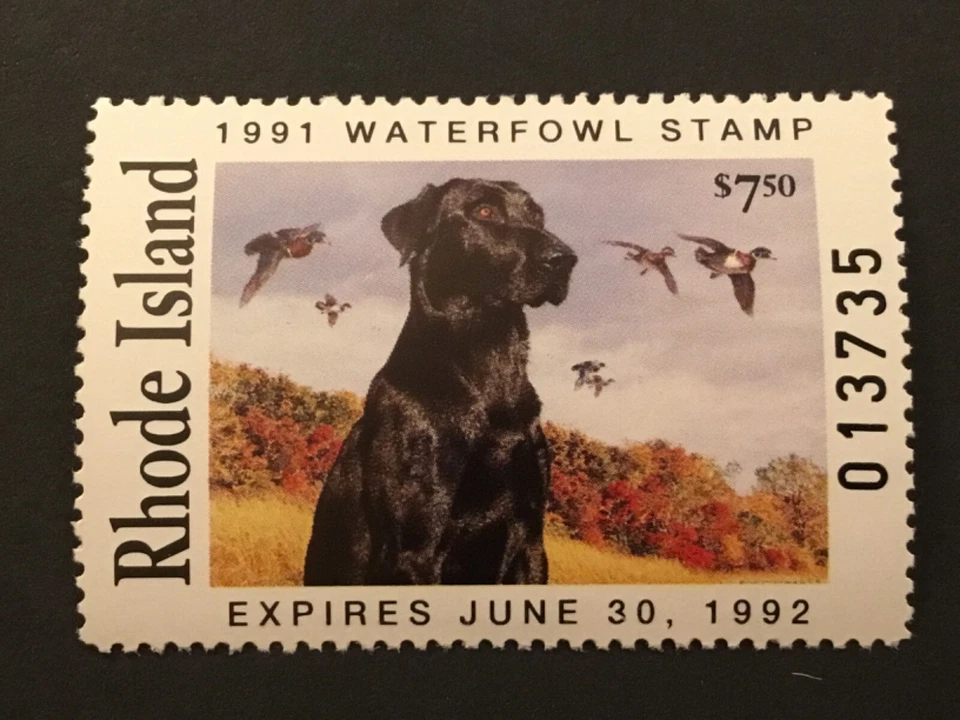 ICOLLECTZONE US Rhode Island 1991 #3 Duck Stamp VF NH - Image 1 of 1