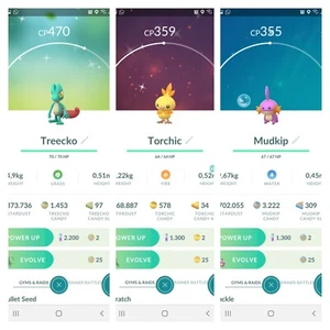 Shiny Hoenn starters, Treecko, Torchic, Mudkip, Pokémon Go - Foto 1 di 4