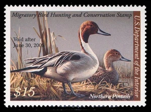 RW75 — 2008 Pintails GEM 100 NH, mit PSE Zertifikat - Bild 1 von 2