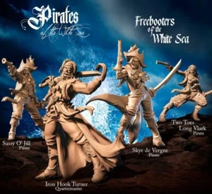 Raging Heroes Freebooters of the White Sea New - Picture 1 of 1