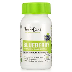 Blueberry 10:1 Extract Capsules HIGH STRENGTH Antioxidant Boosts Vision Memory - Picture 1 of 4