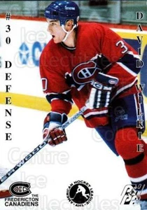 1994-95 Fredericton Canadiens #30 David Wilkie - Picture 1 of 1
