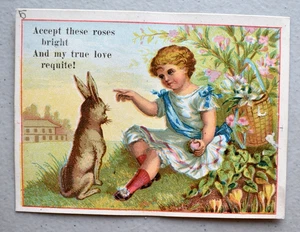 Little Girl in Dress Rabbit Flowers Roses Circa 1880's True Love Trade Card - Picture 1 of 3