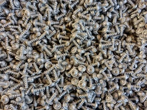 PT Schraube 5x12 / STS 50x12 Schneidschraube für Kunststoff ISO 898-1 - Bild 1 von 2