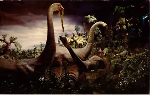 Postkarte Urwelt Disneyland Walt Disney Productions Chrom unverpostet - Bild 1 von 2
