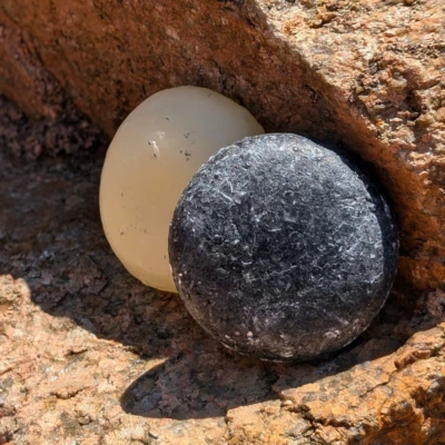 Barra de champú detox - Limpieza profunda con argán, carbón y karité | Cabello sin plástico Foto 1 de 4