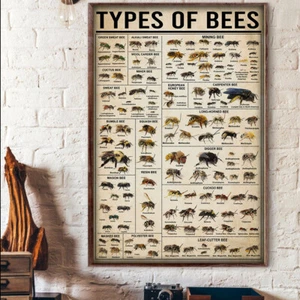 Types Of Bees Knowledge Bee Honey Poster - Picture 1 of 3
