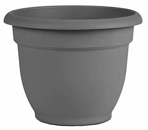 Bloem Ap08908 Ariana Self Watering Planter 8" Charcoal Gray