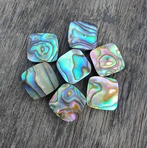 Venta al por mayor Cojín con carcasa de abulón natural respaldo plano piedras preciosas sueltas de 8 mm a 15 mm - Imagen 1 de 8