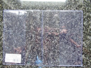 Iden Reisepasshülle 2x110x157 mm in durchsichtig NEU - Bild 1 von 2