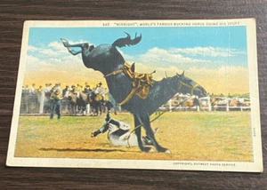 Postcard 925 Midnight Worlds Famous Bucking Horse Doing His Stuff Vintage - Picture 1 of 11