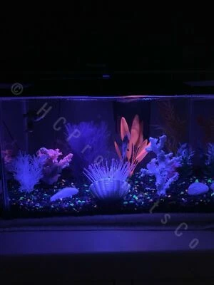 LED Aquarium Lights 20 Colors and Motion Options 10 inch Line Strip w/Remote - Image 1 of 4