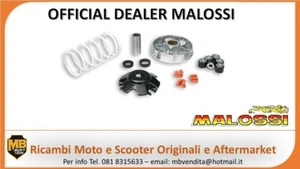 KIT VARIATORE MALOSSI 519019 MULTIVAR 2000 PIAGGIO NRG EXTREME 50 2T - Imagen 1 de 1