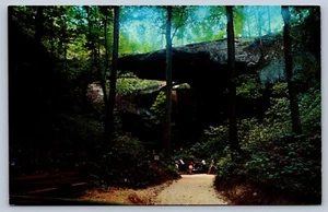 Postal del puente natural de Haleyville Alabama del condado de Winston de Alabama - Imagen 1 de 2