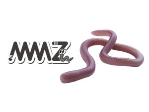 Verme in plastica morbida OSP MMZ - scegli misura/colore - Foto 1 di 16