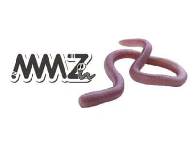 OSP MMZ Soft Plastic Worm - Choose Size / Color
