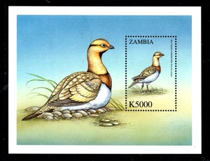 Sambia 901 postfrisch Blatt VÖGEL Sandhuhn schöner Preis - Bild 1 von 1