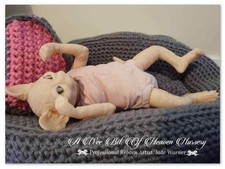 ***ORIGINAL*** unpainted reborn doll kit Amethyste by Jade Warner