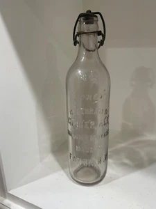 Early JONES CELEBRATED GINGER ALE EMBOSSED BOTTLE FONDA - Picture 1 of 13