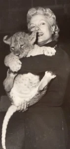 Isa Miranda & Lion Circus France Old Press Photo 1955 - Picture 1 of 4