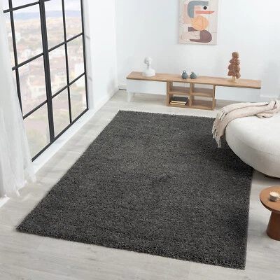 Teppich Hochflor Shaggy Teppiche Langflor Anthrazit Wohnzimmer Pflegeleicht NEU - Bild 1 von 4