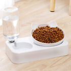 Pet Automatic Feeder Dog Cat Food Bowl with Water Dispenser Double Drinking B HZ